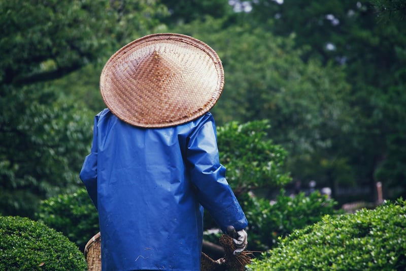 Gardening Kit